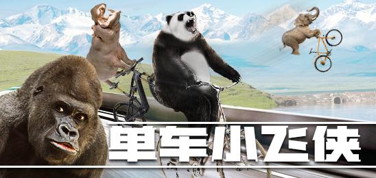 单车小飞侠