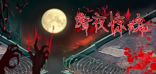 暗夜惊魂